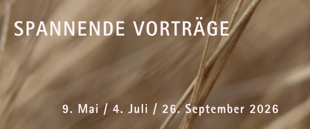 Haarentfernung Monika Wellinger