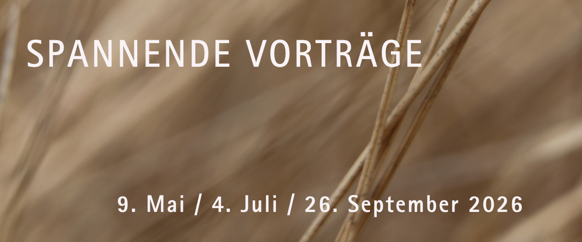 Haarentfernung Monika Wellinger