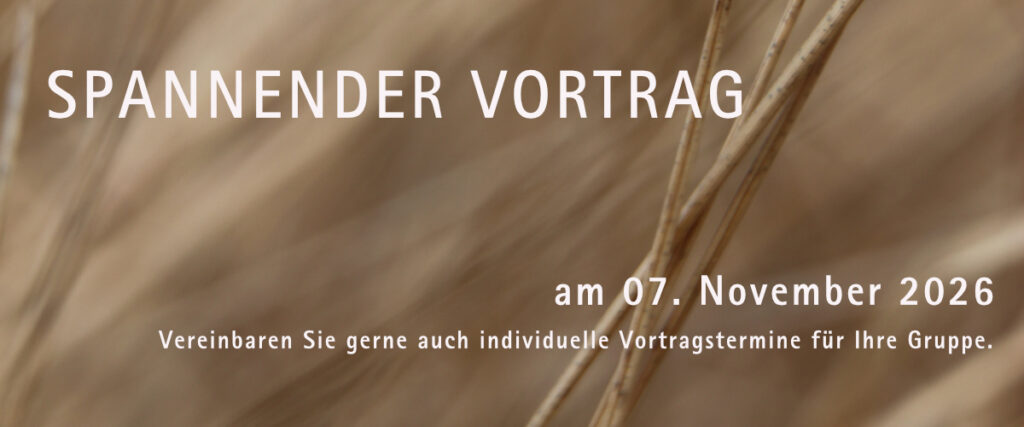 Haarentfernung Monika Wellinger